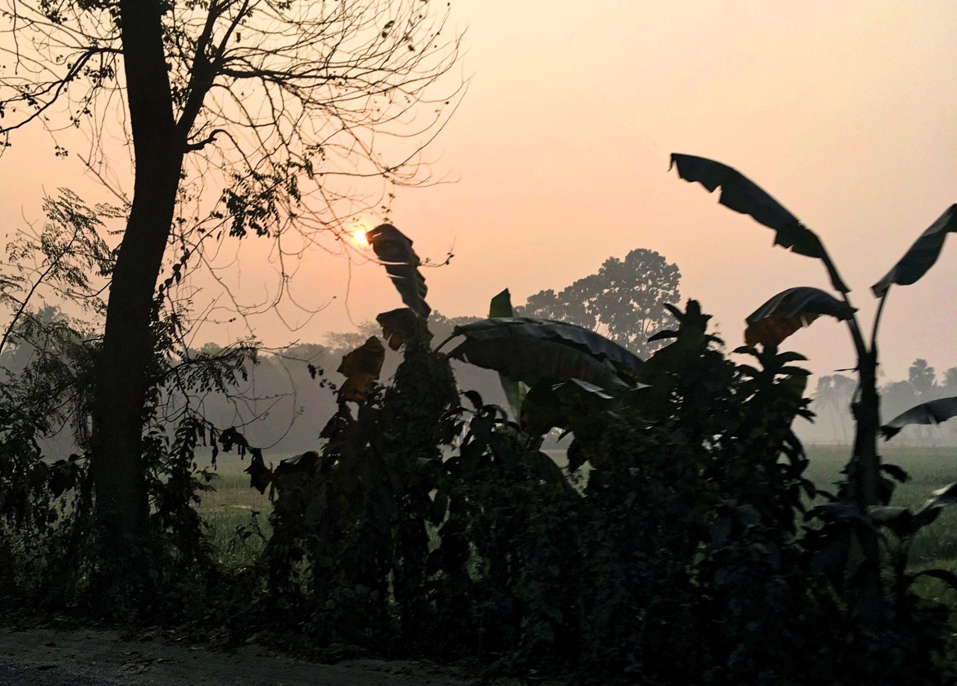 Stories from Bangladesh