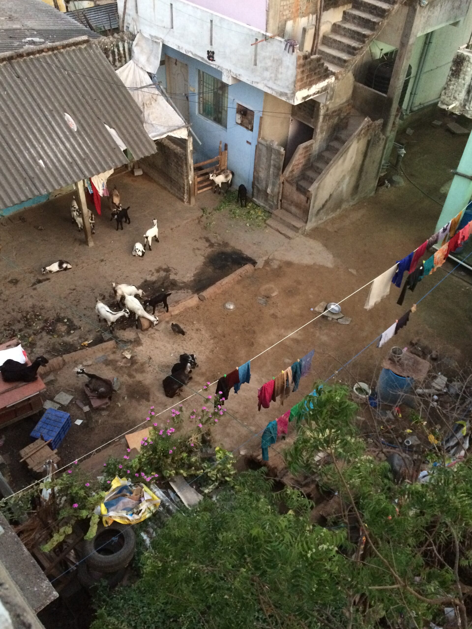 India daily life
