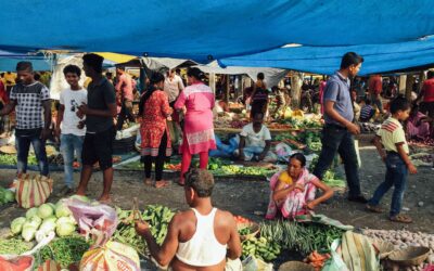 Encouraging Sustainability and Resilience