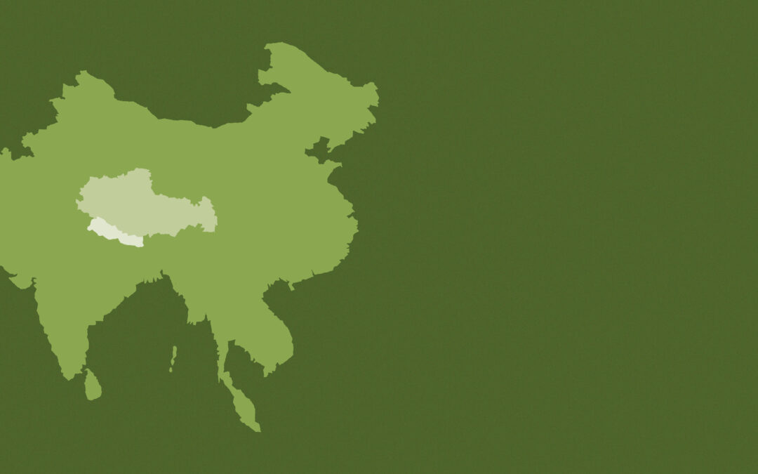 Impact Report 2025: Support in Nepal & Tibet