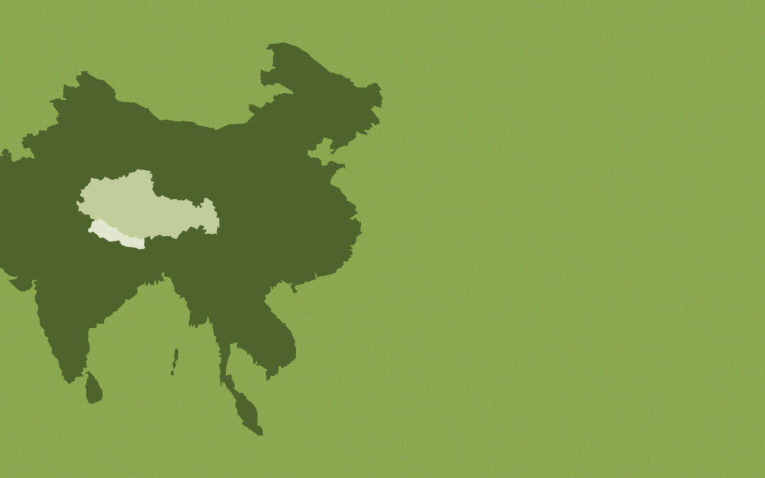 Impact Report 2025: Stories from Nepal & Tibet