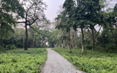 Doing Much With Little: Joshua’s Ministry in Bhutan Podcast